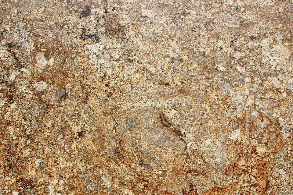 African Persa, shown as a flat sample
