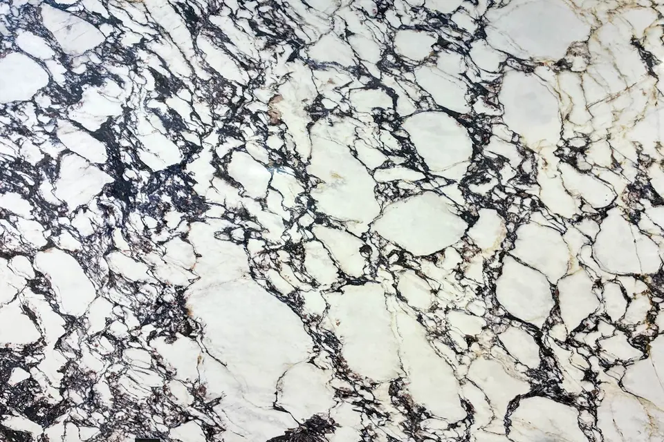 Calacatta Viola, shown as a flat sample
