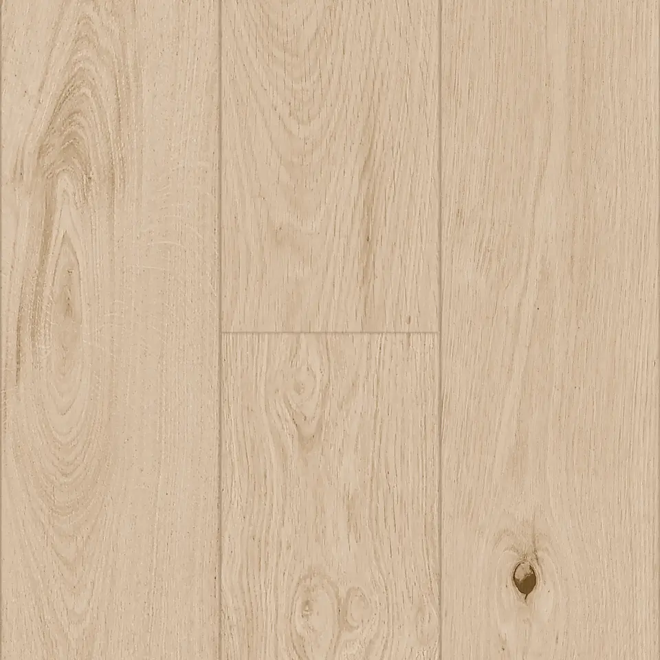 Arenia, shown as a flat sample