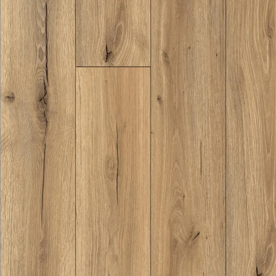 Goldenrod, shown as a flat sample