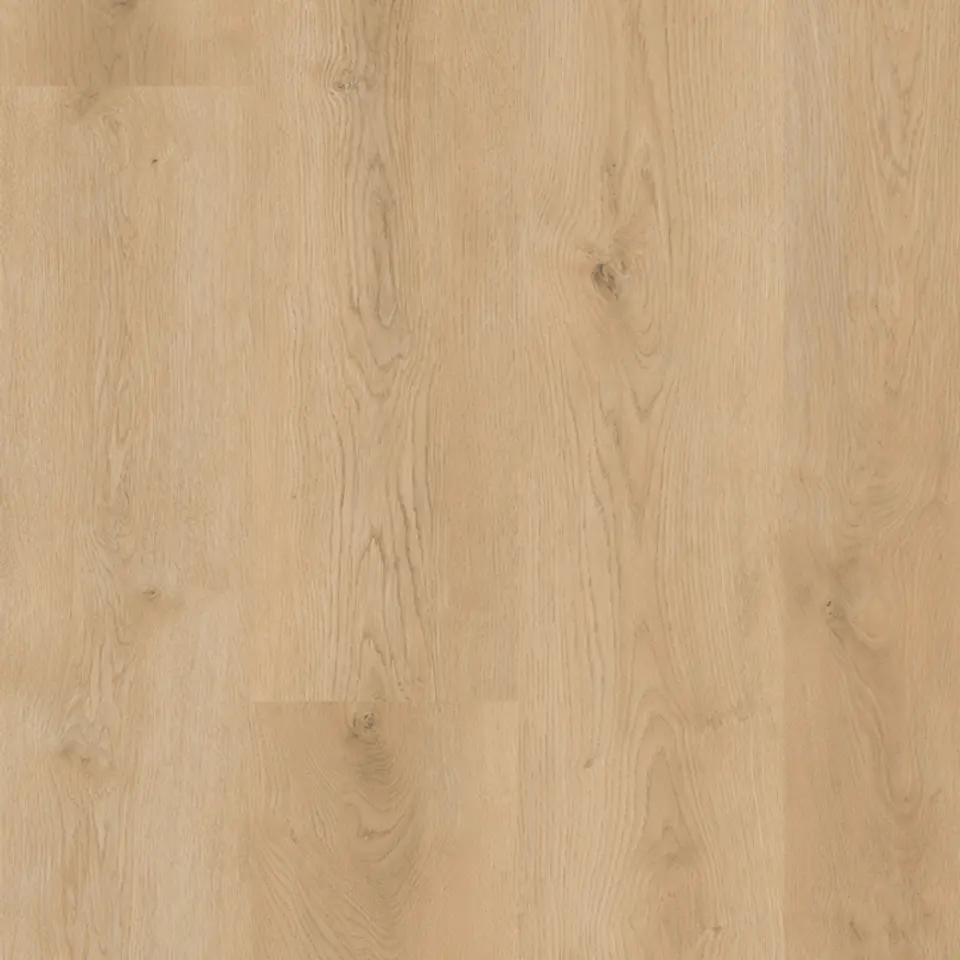 Pumpkin, shown as a flat sample