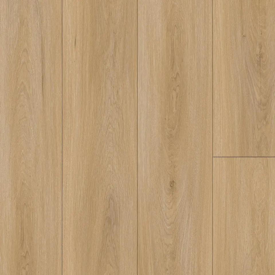 Stonecorp, shown as a flat sample