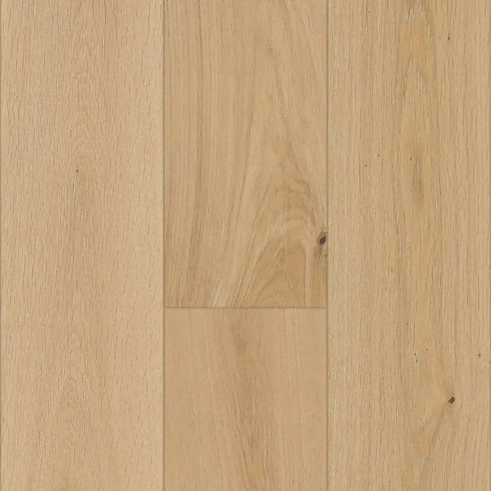Terra, shown as a flat sample