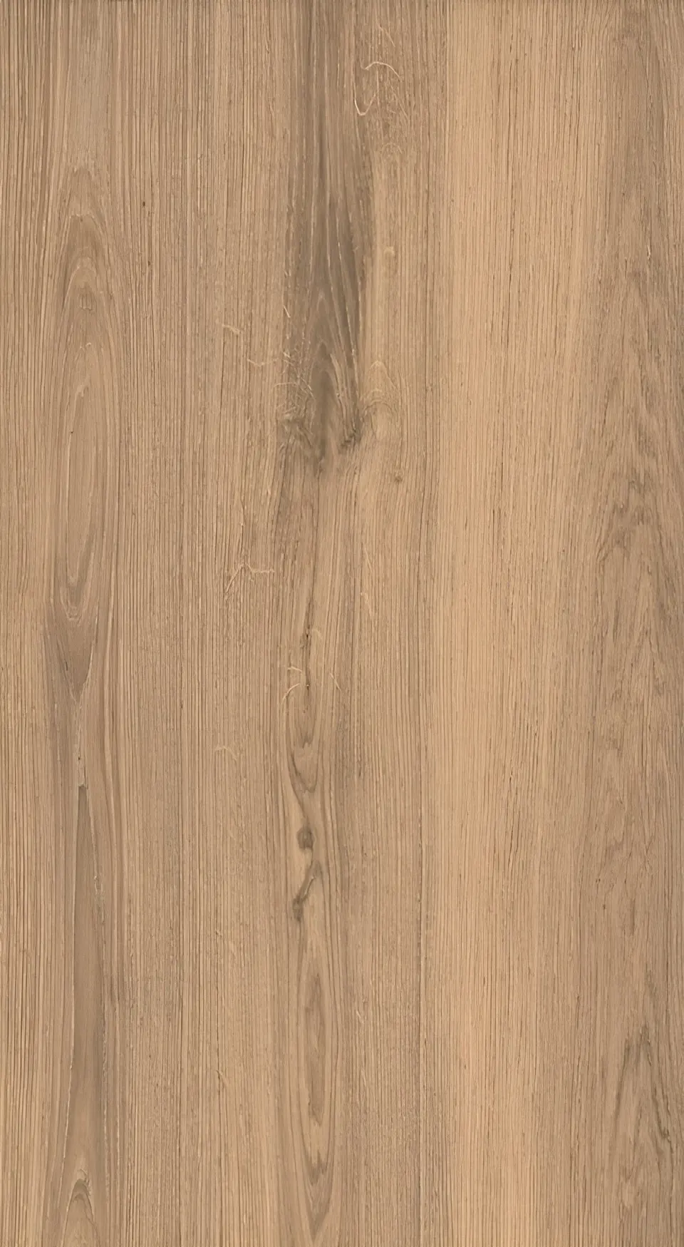 Carenas cafe, shown as a flat sample
