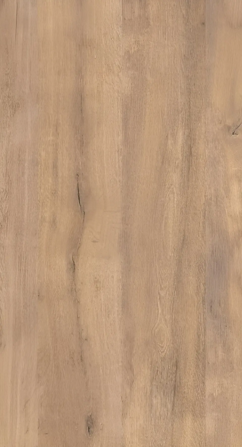 Palmara chestnut, shown as a flat sample