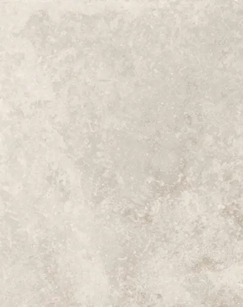 Rock ivory, shown as a flat sample