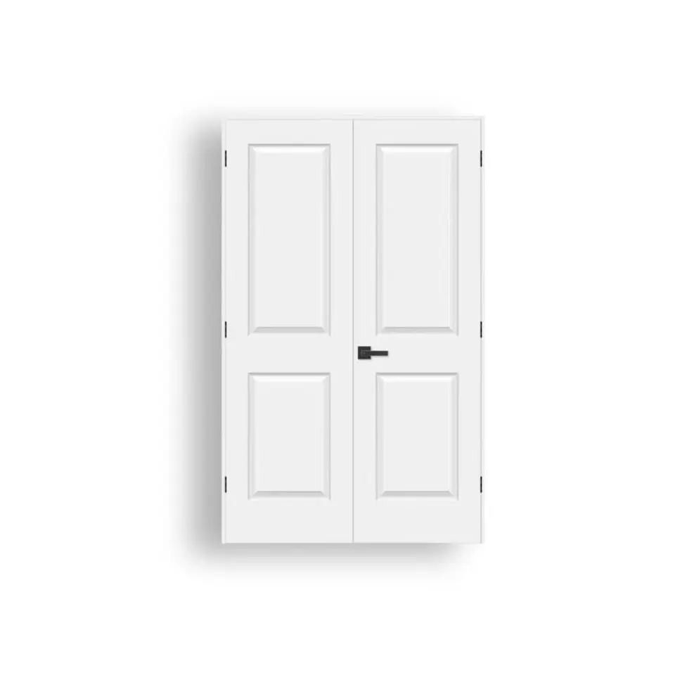 2-panel double door, hollow core, shown as a flat sample