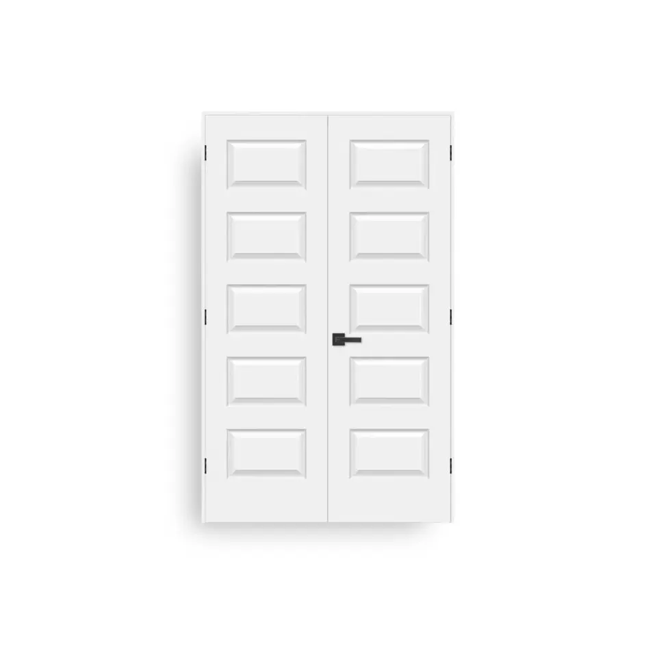 5-panel double door, hollow core, shown as a flat sample